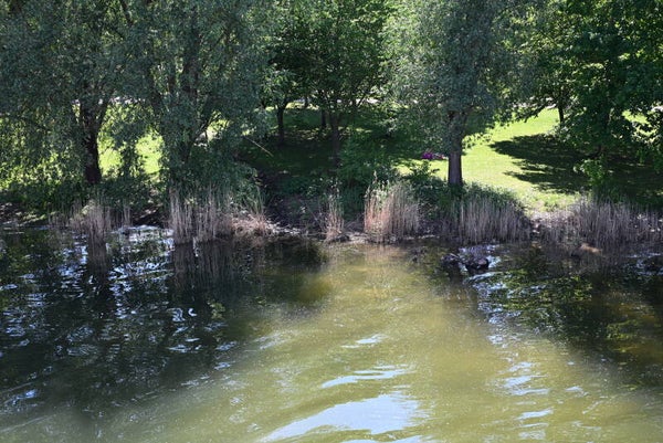 seenlandschaft