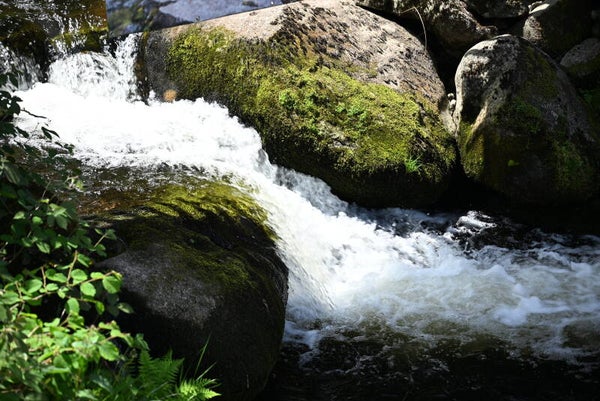 Schwarzwald Wasserfall