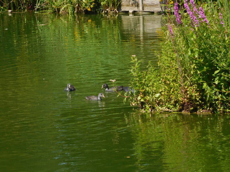 dscn0051-standard-b8m21q.jpg