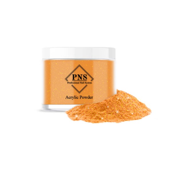 PNS Acrylic Powder Color 65 100G