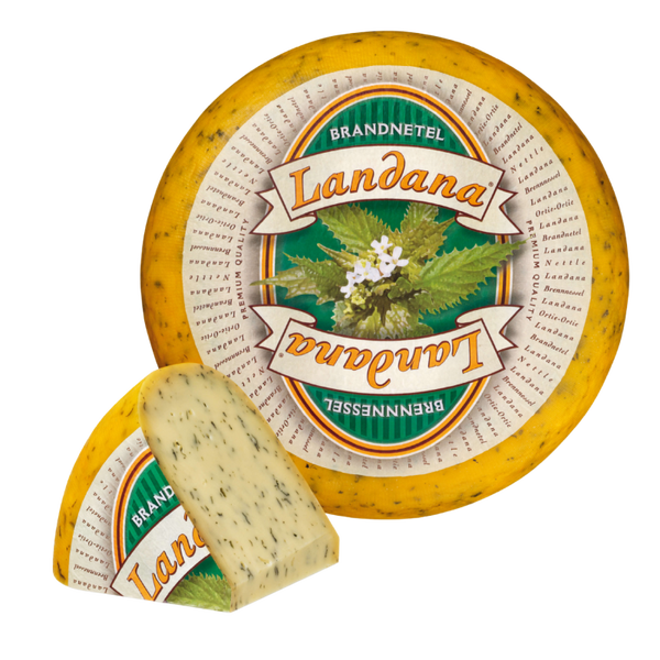 Landana Brandnetel