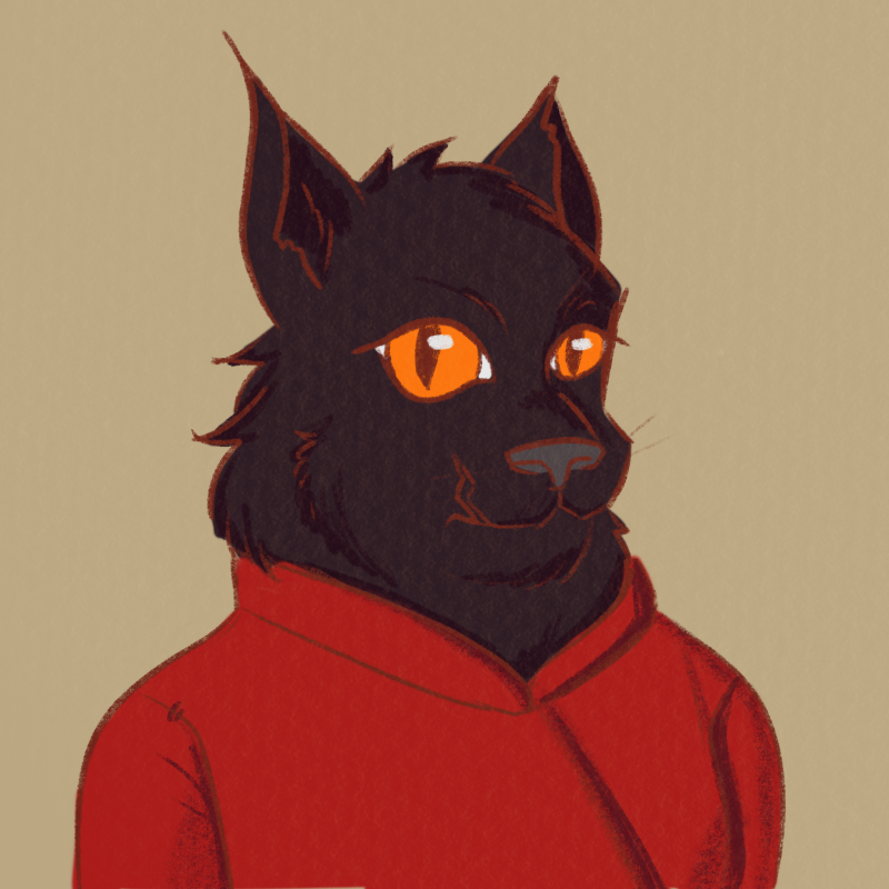 A humanoid cat with bright orange eyes, all black fur, and several scars along her face