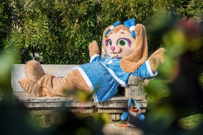 img-20260119-wa0022-standard-boi5rs.jpg