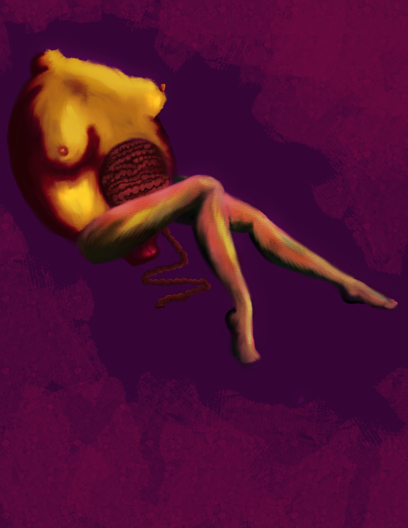 img_0513-standard.png