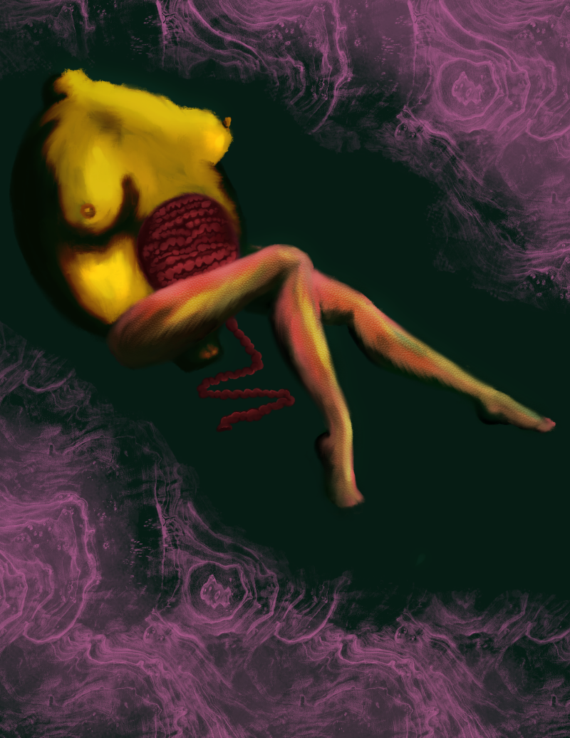 img_0514-standard.png