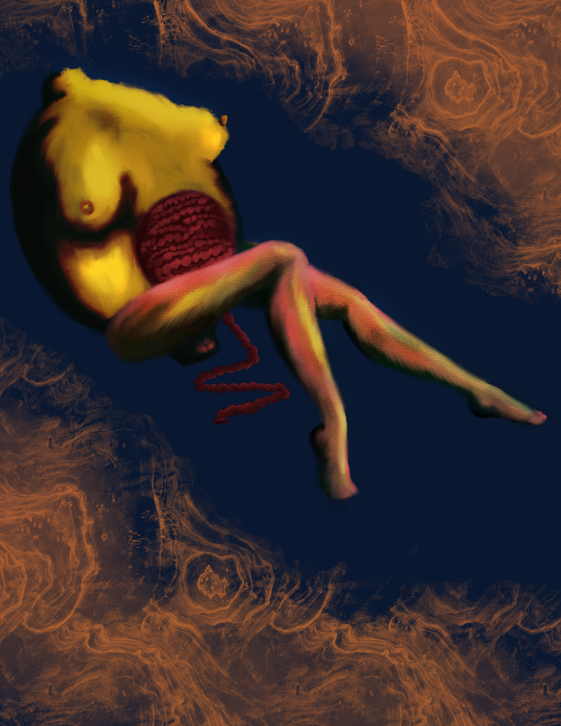 img_0515-standard.png