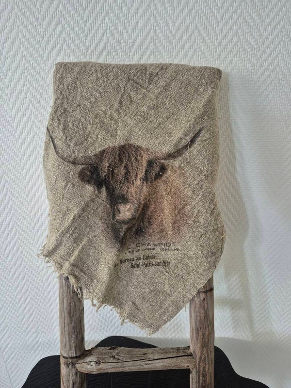 Shabbydoek" gekleurd hooglander"