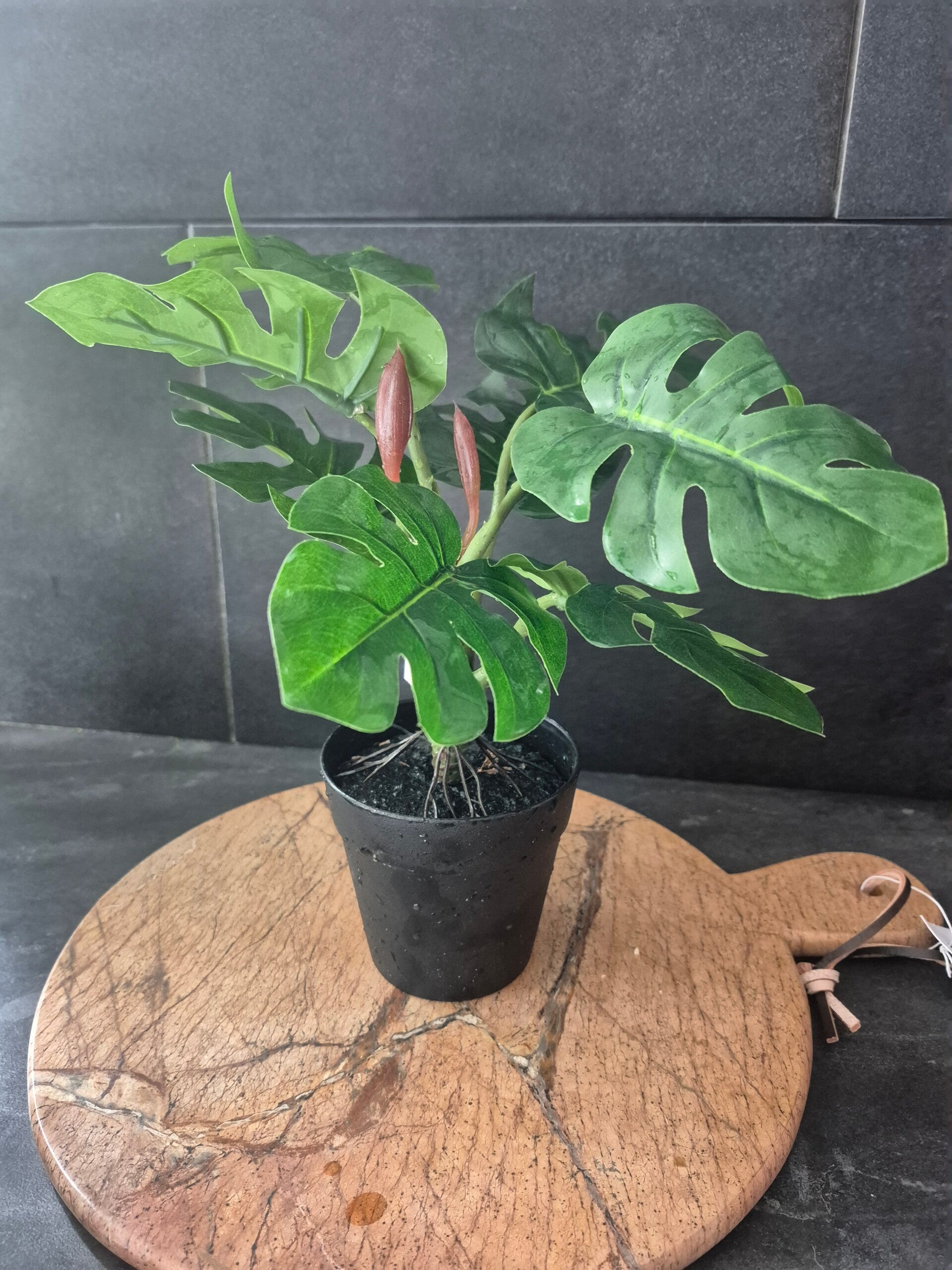 Monstera kunstplant