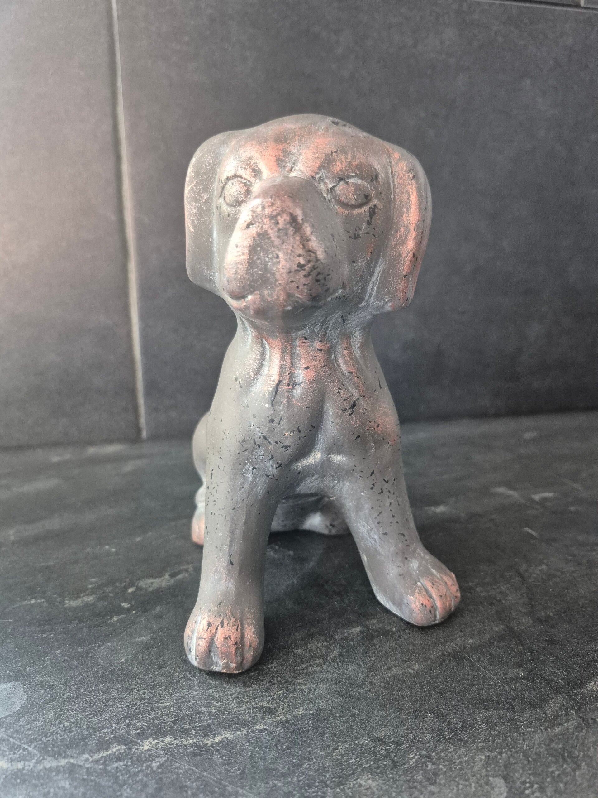 Zittende labrador Bruin Countryfield