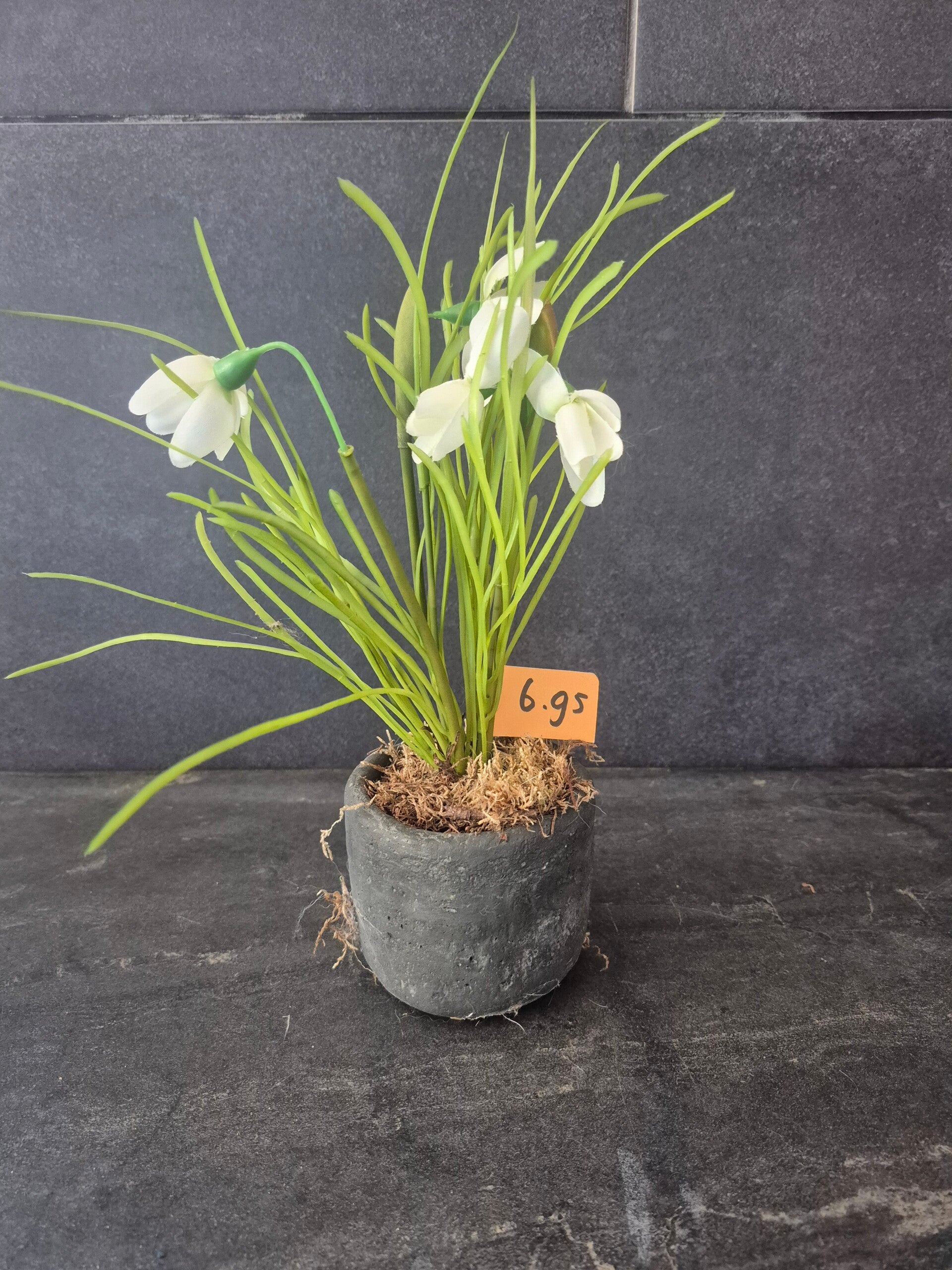 Bloempotje gevuld net sneeuwklokjes