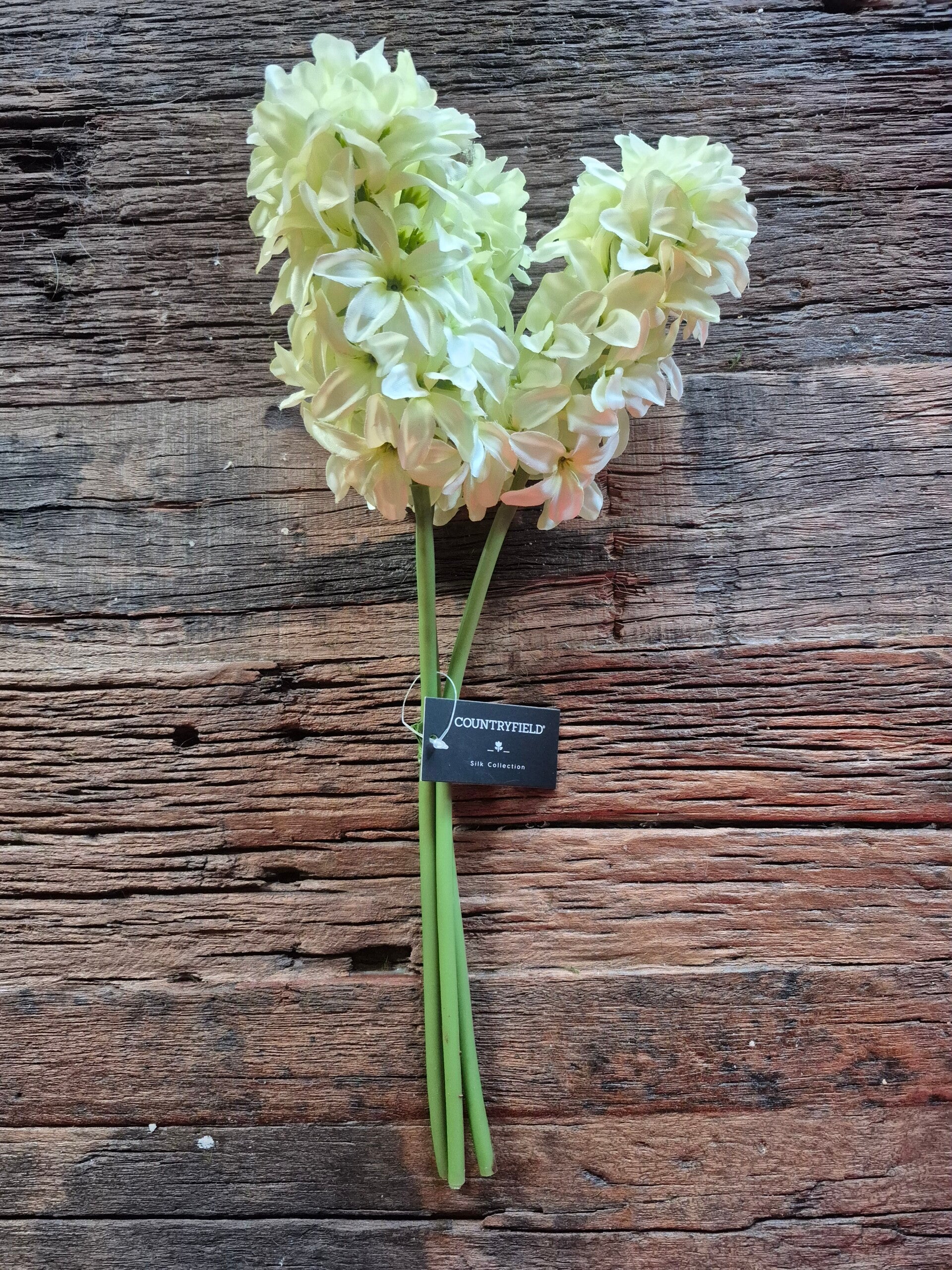 Kunst hyacinten bundel van 3