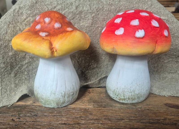 Set keramische paddestoelen