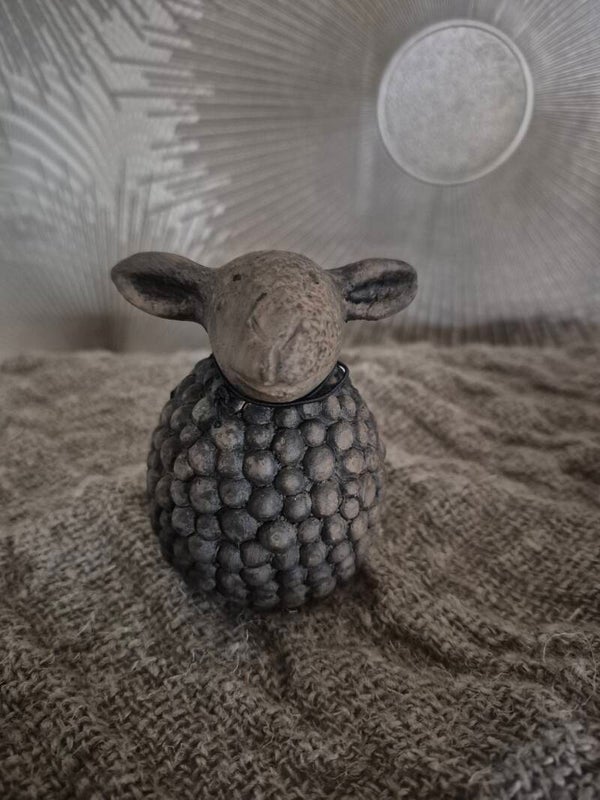 Funny Sheep Medium- Majestic Brown || Brynxz