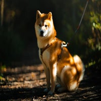 0b7960d7-2d70-464d-a68f-da796338a563-standard-o22raa.jpg
