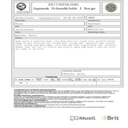 b65e052e-9589-438c-8b74-274c237dfed4-standard.jpg