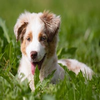 img_2043-standard.jpg