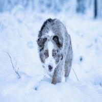 img_3637-standard.jpg