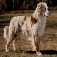 img_4865-standard.jpg