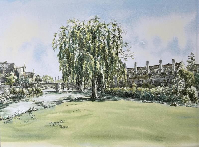 The Old Willow Tree