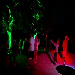 dancefloor-standard-1hy4gc.jpg
