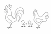 Petaluma Pullets And Roo Crews too...