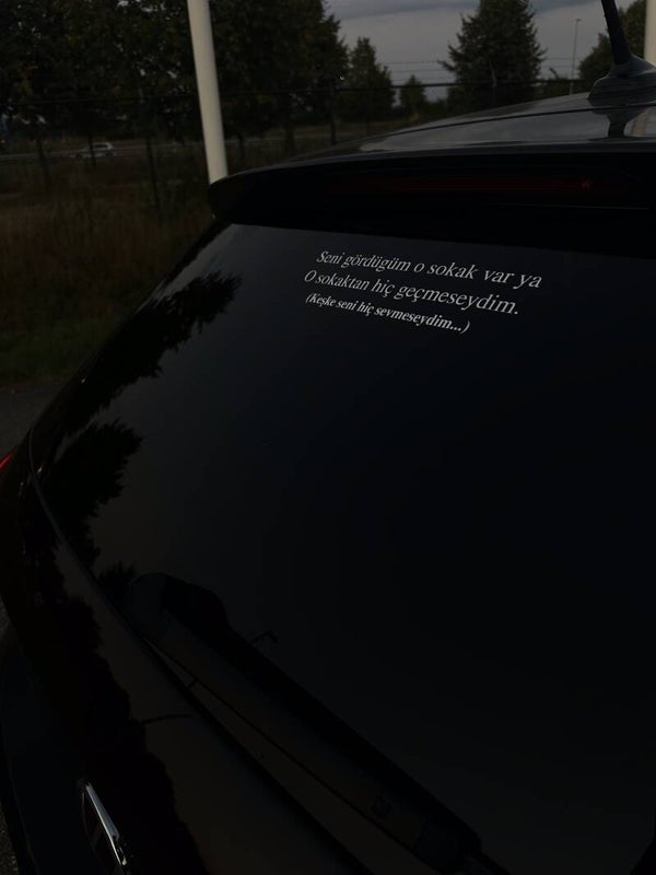 Seni gördügüm o sokak var ya > O sokaktan hiç geçmeseydim. (Keşke seni hiç sevmeseydim...)