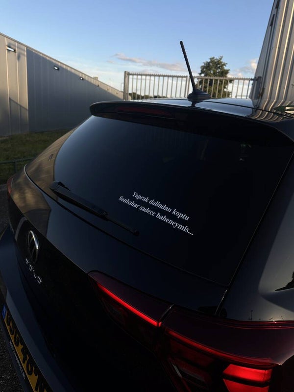 Yaprak dalından koptu Sonbahar sadece baheneymis...