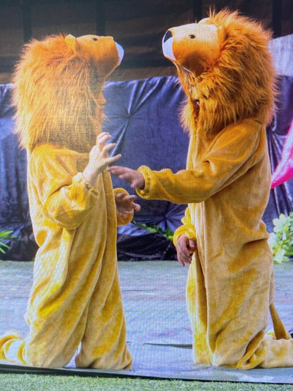 Schattige Leeuwen Onesie Set voor Kinderen 2x maat  128