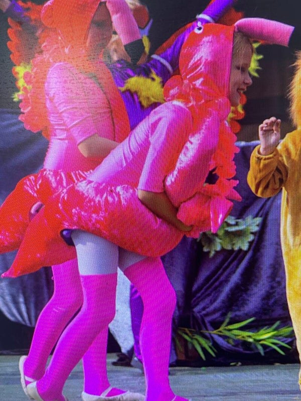Vrolijke Zelfgemaakte Flamingopakjes voor Kinderen