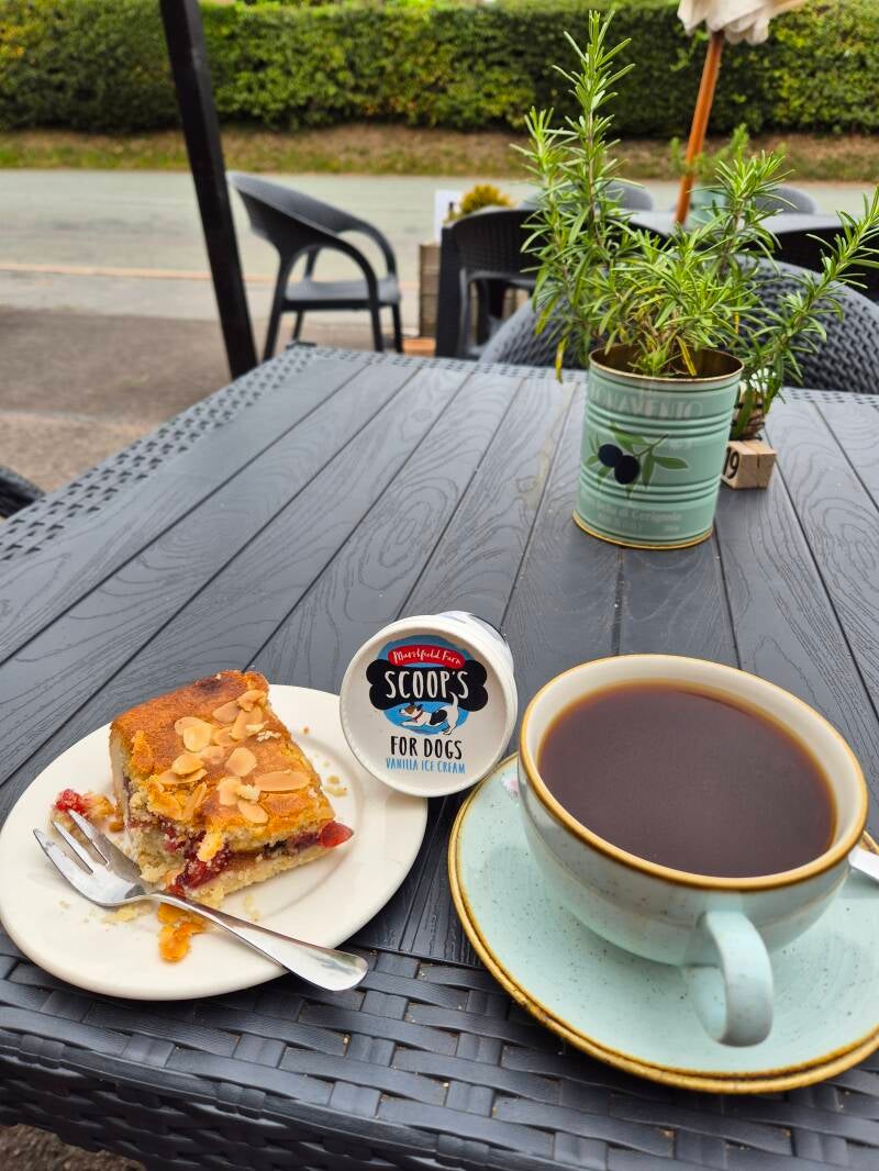 Dogs can have a break and treat too... Ice cream for dogs and a coffee and cake for the sitter