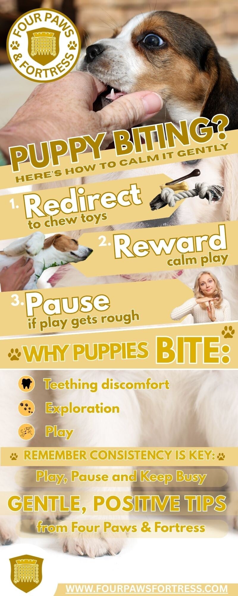 Playful puppy gently mouthing a trainer’s hand during positive training.