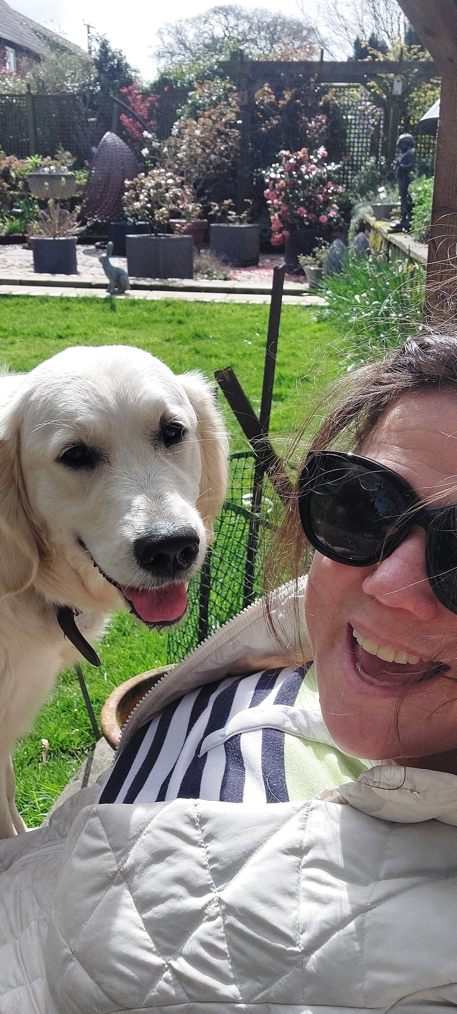 Bella the golden retriever with Amanda in a sunny Peckforton (Cheshire) garden.