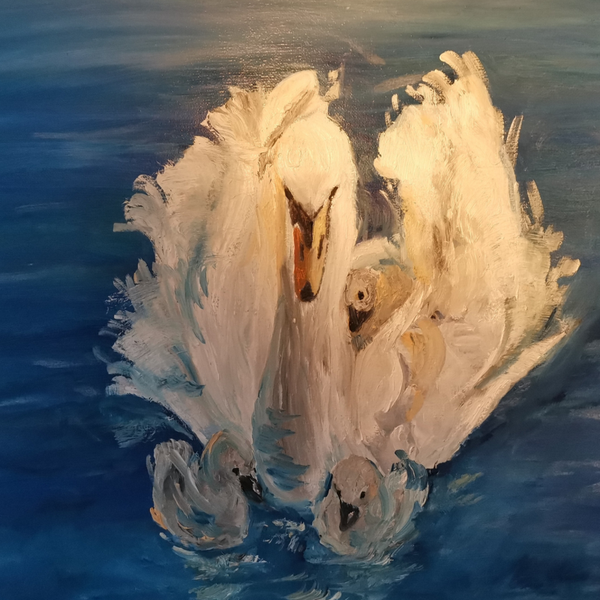Swan with young ones - olieverf op mdf 40 x 50 cm