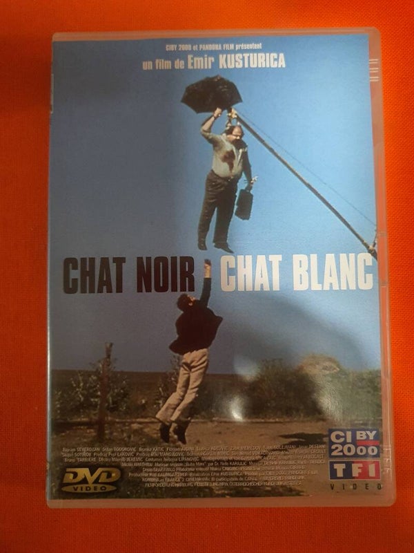 Chat noir, chat blanc