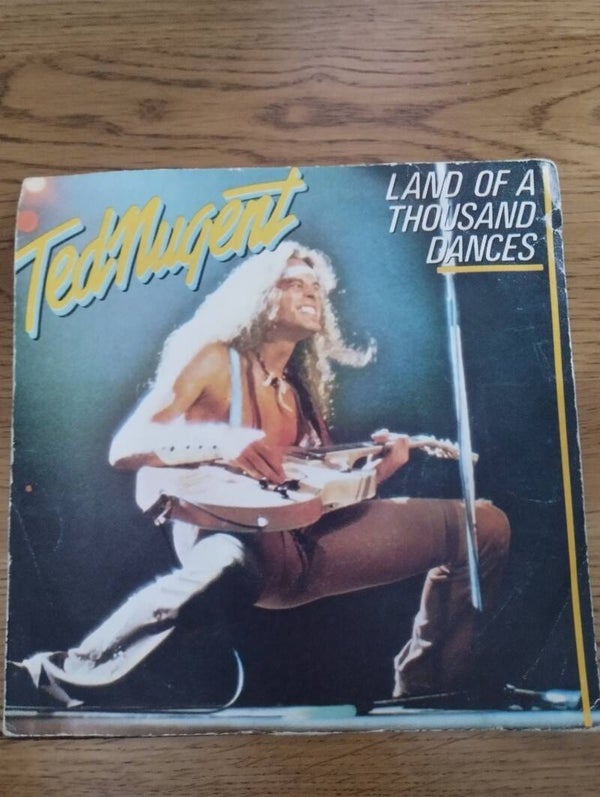 Ted Nugent – Land Of A Thousand Dances