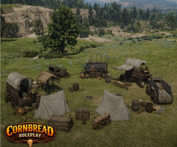 Camps