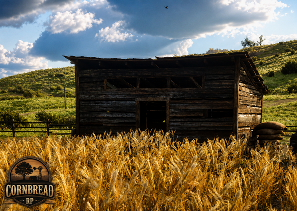 Chicken Coop