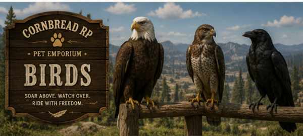 🦅 Birds