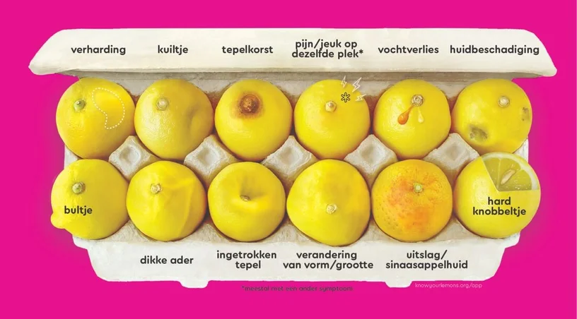 Know your Lemons