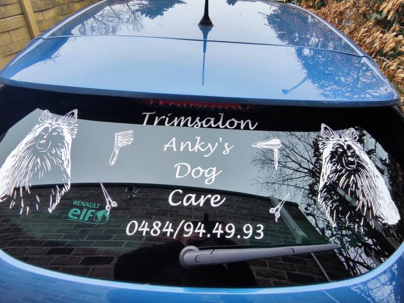 Autosticker - Achterruit