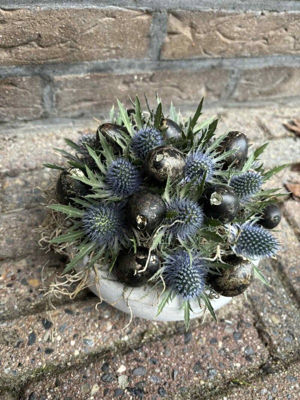 💙Eierschaaltje 💙