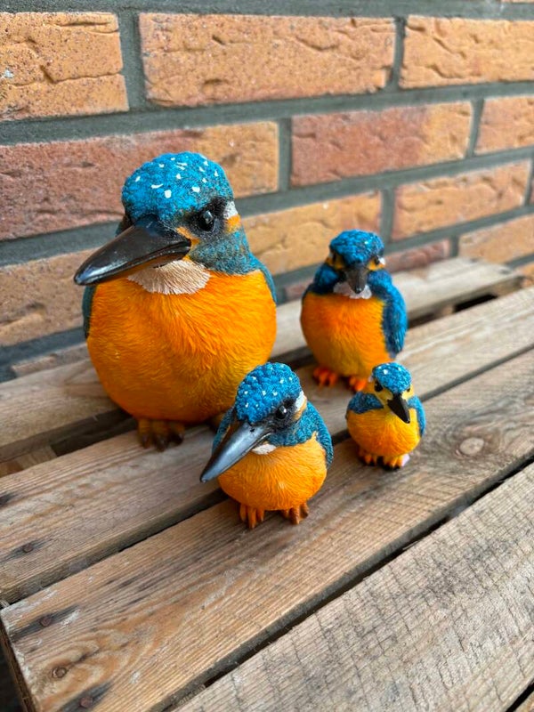 IJsvogel