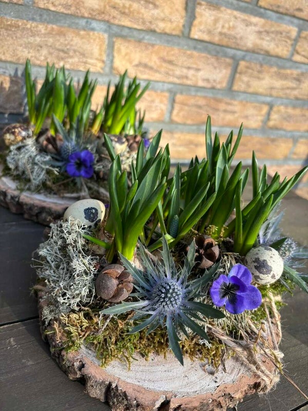 Houtschijf met blauwe druifjes