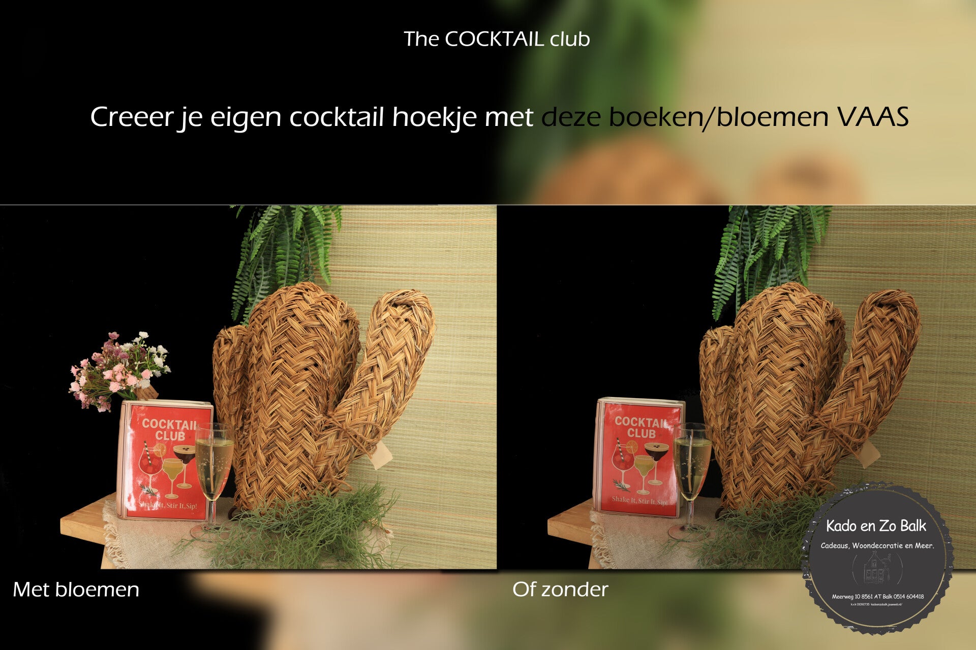 Boekvaas en cactus Kado en Zo Balk
