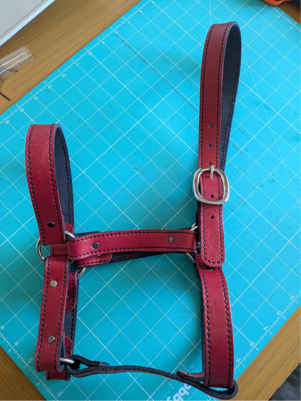 Leather Headcollar