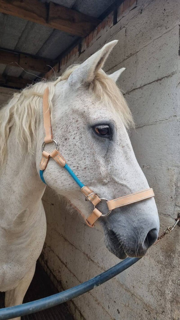 Leather & Rope Riding Head Collar