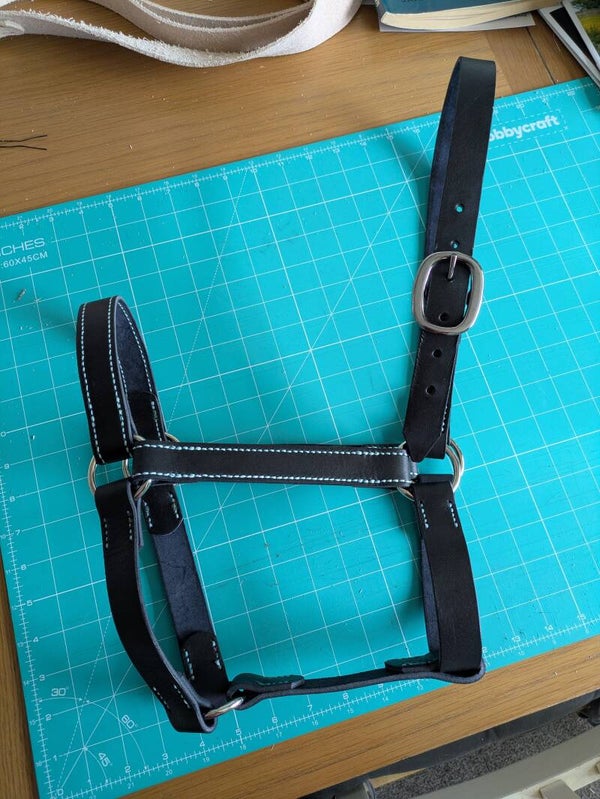 Leather Headcollar