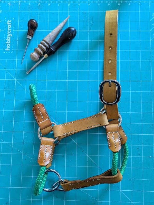 Leather & Rope Foal Head Collar