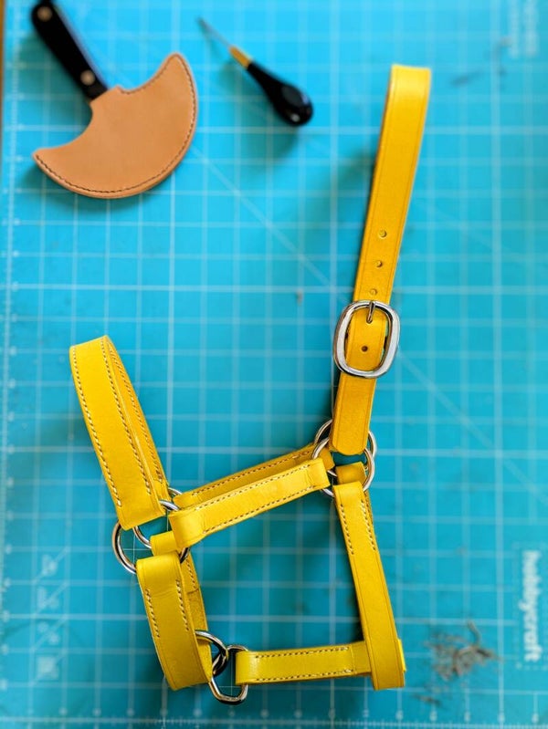 Leather Headcollar
