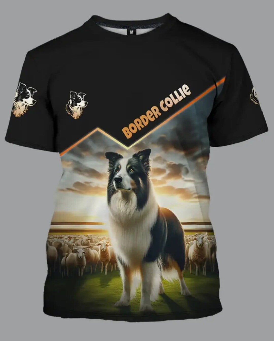 bordercollie bij de schapen